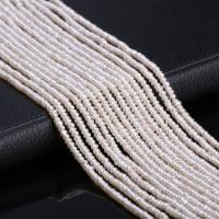 Knap ferskvandskulturperle Beads, Ferskvandsperle, Flad Rund, du kan DIY, hvid, 2.5-3mm, Solgt Per 38 cm Strand