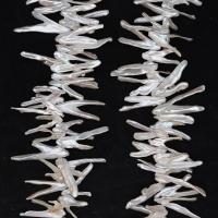 Keshi Cultured Freshwater Pearl Beads, Natural & DIY, white, 37-41mm, Sold Per 35-40 cm Strand