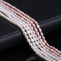 Cultured Rice Freshwater Pearl Beads, DIY, more colors for choice, 2.5-3mm, Sold Per Approx 15 Inch Strand
