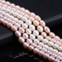 Rice Kulturan Slatkovodni Pearl perle, Riža, možete DIY, više boja za izbor, 8-9mm, Prodano Per Približno 15 inčni Strand