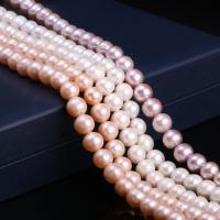 Cultured Potato Freshwater Pearl Beads, DIY, more colors for choice, 10-11mm, Sold Per Approx 15 Inch Strand