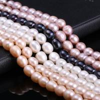 Rice Kulturan Slatkovodni Pearl perle, Riža, možete DIY, više boja za izbor, 10-11mm, Prodano Per Približno 15 inčni Strand