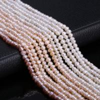 Cultured Potato Freshwater Pearl Beads, DIY, more colors for choice, 3-4mm, Sold Per Approx 15 Inch Strand