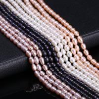 Cultured Rice Freshwater Pearl Beads, DIY, more colors for choice, 4-5mm, Sold Per Approx 15 Inch Strand