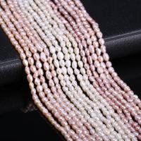 Cultured Rice Freshwater Pearl Beads, DIY, more colors for choice, 3-4mm, Sold Per Approx 15 cm Strand