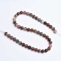 Natural Persian Gulf agate Beads Round polished Unisex mixed colors Sold By Strand