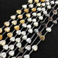 Perles naturelles de coquillage d'eau douce , Horseshoe-Shell, coeur, poli, DIY, plus de couleurs à choisir, 8mm, Vendu par Environ 15 pouce brin