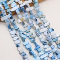 Perles de coquille colore naturelle, DIY, blue ciel,  8x15-10x20mm, Vendu par 80 cm brin