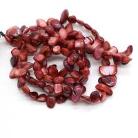 Perles de coquille colore naturelle, chips, DIY, henné,  8x15-10x20mm, Vendu par 80 cm brin