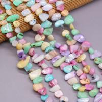 Perles de coquille colore naturelle, chips, DIY, couleurs mélangées,  8x15-10x20mm, Vendu par 80 cm brin