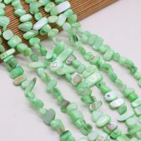 Perles de coquille colore naturelle, chips, DIY, vert,  8x15-10x20mm, Vendu par 80 cm brin