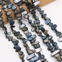 Perles de coquille colore naturelle, DIY, noire,  8x15-10x20mm, Vendu par 80 cm brin