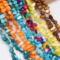 Natural Colored Shell Beads, Chips, DIY, more colors for choice,  8x15-10x20mm, Sold Per 80 cm Strand