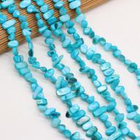 Perles de coquille colore naturelle, chips, DIY, bleu, 8x15-10x20mm, Vendu par 80 cm brin