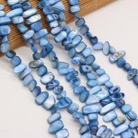 Perles de coquille colore naturelle, chips, DIY, couleur bleu foncé, 8x15-10x20mm, Vendu par 80 cm brin