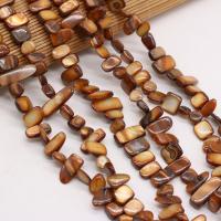 Perles de coquille colore naturelle, chips, DIY, brun, 8x15-10x20mm, Vendu par 80 cm brin