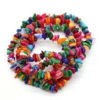 Perles de coquille colore naturelle, chips, DIY, couleurs mélangées, 5-8mm, Vendu par 40 cm brin
