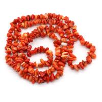 Natural Colored Shell Beads Chips DIY 5-8mm Sold Per 40 cm Strand