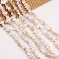 Perles naturelles de coquillage d'eau douce , coquille, chips, DIY, blanc, 8x15-10x20mm, Vendu par 80 cm brin