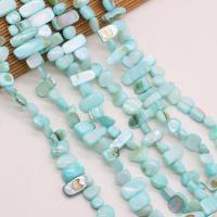 Natural Colored Shell Beads, DIY, blue, 8x15-10x20mm, Sold Per 80 cm Strand