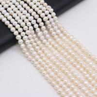 Tlačítko kultivované sladkovodní Pearl Beads, DIY, bílý,  6-7mm, Prodáno za 36 cm Strand