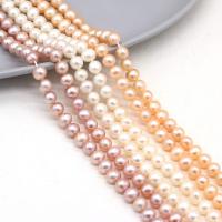 Perles de nacre rondes de culture d'eau douce, perle d'eau douce cultivée, DIY, plus de couleurs à choisir, 6-6.5mm, Vendu par 36 cm brin