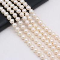Perles de nacre rondes de culture d'eau douce, perle d'eau douce cultivée, DIY, blanc,  8-9mm, Vendu par 36 cm brin