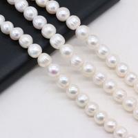 Knap ferskvandskulturperle Beads, Ferskvandsperle, du kan DIY, hvid, 8-9mm, Solgt Per 36 cm Strand