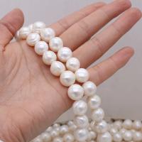 Perles de nacre rondes de culture d'eau douce, perle d'eau douce cultivée, DIY, blanc, 11-12mm, Vendu par 36 cm brin