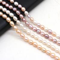 Riso coltivato in perla d'acqua dolce, perla d'acquadolce coltivata naturalmente, DIY, nessuno,  7-8mm, Venduto per 36 cm filo