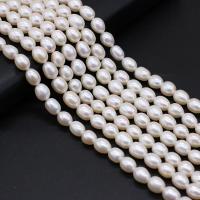 Perlas Arroz Freshwater, Perlas cultivadas de agua dulce, Bricolaje, Blanco,  7-8mm, Vendido para 36 cm Sarta