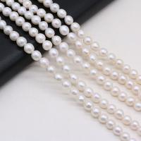 Barock kultivierten Süßwassersee Perlen, Natürliche kultivierte Süßwasserperlen, DIY, weiß,  7-8mm, verkauft per 36 cm Strang