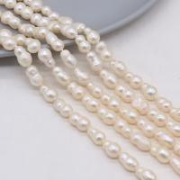 Keshi Cultured Freshwater Pearl Beads, DIY, white, 6x10mm-8x12mm, Sold Per 36 cm Strand