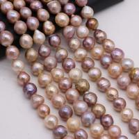 Barock odlad sötvattenspärla pärlor, Freshwater Pearl, DIY, blandade färger, 11-12mm, Såld Per 36 cm Strand