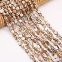 Perles naturelles de coquillage d'eau douce , coquille, Irrégulière, DIY, couleurs mélangées, 0.5-1cm, Vendu par 38 cm brin