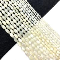 Prirodni White Shell perle, Školjka, Riža, možete DIY, bijel, Prodano Per 38 cm Strand