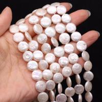 Cultured Coin Freshwater Pearl Beads, Button Shape, DIY, white, 11-12mm, Sold Per Approx 15 Inch Strand