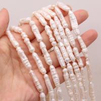 Biwa ferskvandskulturperle Beads, Ferskvandsperle, Uregelmæssig, du kan DIY, hvid, 6x20-7x25mm, Solgt Per Ca. 15 inch Strand