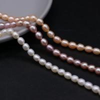 Perlas Arroz Freshwater, Perlas cultivadas de agua dulce, Bricolaje, más colores para la opción, 5-6mm, Vendido para aproximado 14.17 Inch Sarta