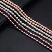 Cultured Rice Freshwater Pearl Beads DIY 3-3.5mm Sold Per Approx 14.17 Inch Strand
