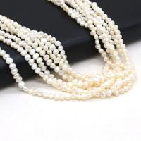 Knap ferskvandskulturperle Beads, Ferskvandsperle, du kan DIY, hvid, 3-4mm, Solgt Per Ca. 14.17 inch Strand