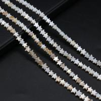 Natural Freshwater Shell Beads Star DIY Sold Per Approx 15 Inch Strand
