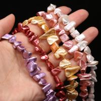 Muschelkern Perle, DIY, keine, 8x8-8x15mm, verkauft per ca. 15 ZollInch Strang