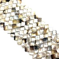 Black Shell Beads DIY 12mm Sold Per 14.96 Inch Strand