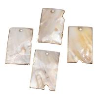 Shell Pendants, Brass, with Shell, Rectangle, white, 50x31x2mm, Sold By PC