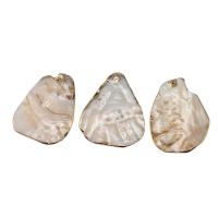 Shell Pendants, Brass, with Shell, white, 50x43x3mm, Sold By PC