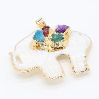 Natural White Shell Pendants with Gemstone & Brass Elephant gold color plated fashion jewelry & DIY Sold By PC