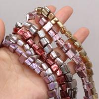 Perles de coquille colore naturelle, Shell Pearl, DIY, plus de couleurs à choisir, 8x8-8x10mm, Vendu par Environ 15 pouce brin