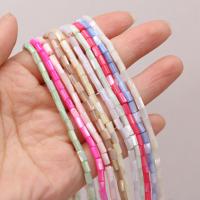 Natural Colored Shell Beads Column DIY Sold Per Approx 15 Inch Strand