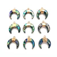 Natural Abalone Shell Pendants with Zinc Alloy Moon gold color plated DIY Sold By PC
